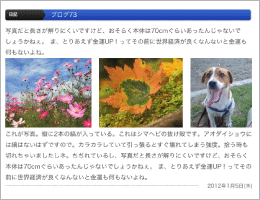 ブログの例